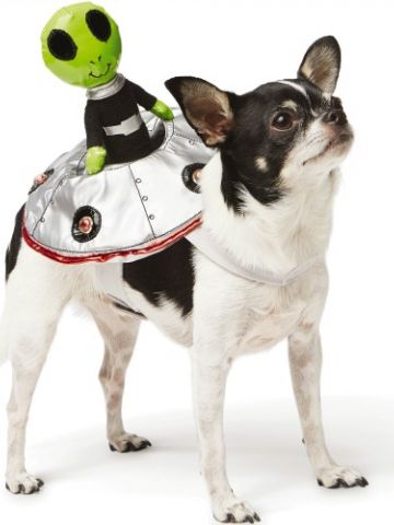 Alien Rider.jpg
