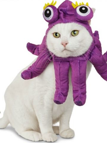 halloween costume_octopus.jpg