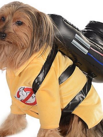 halloween dog_ghostbusters.jpg