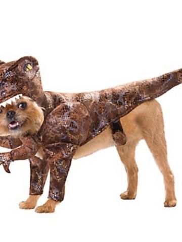 halloween pet_raptor.jpg