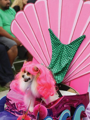 haute.jpg