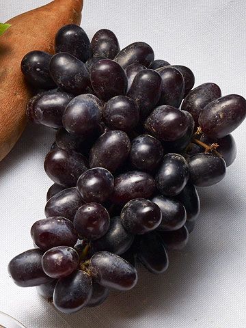 101609296grapes.jpg