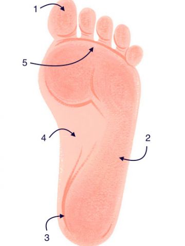 annotated cropped-foot.jpg