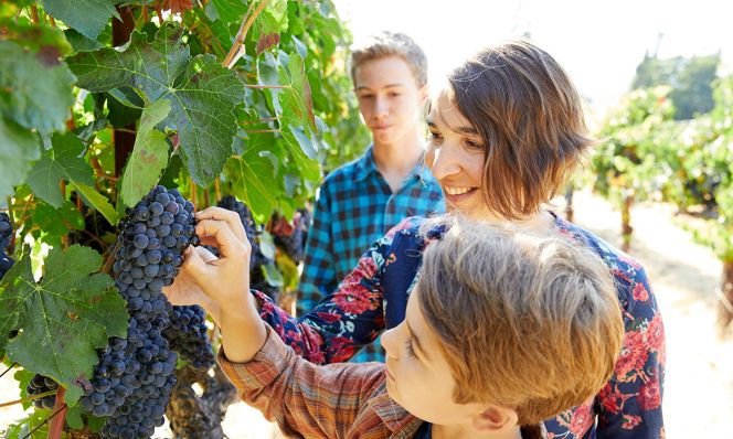 MLife Jan 2018 Foster Family Family With Grapes