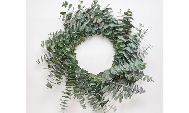 Eucalyptus Wreath