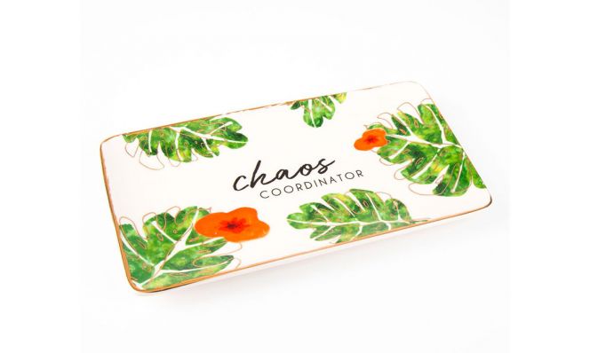 Chaos Controller dish