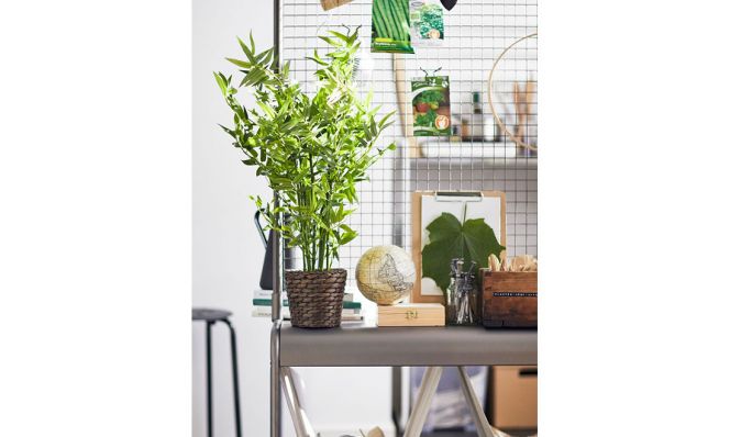 use a room divider to hang and organize