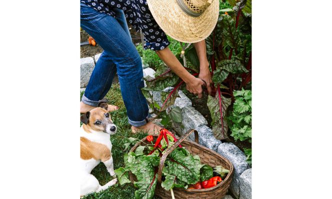 gardening
