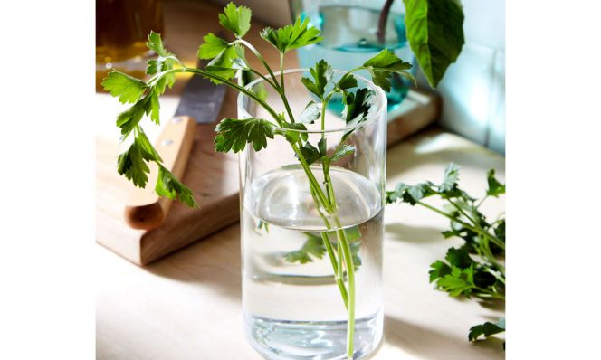 herbs in glass