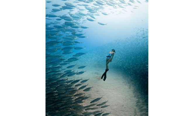 scuba diving