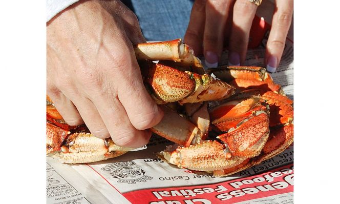 Dungeness Crab & Seafood Fest