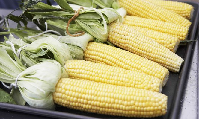 corn on the cob
