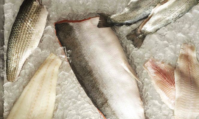 fresh fish