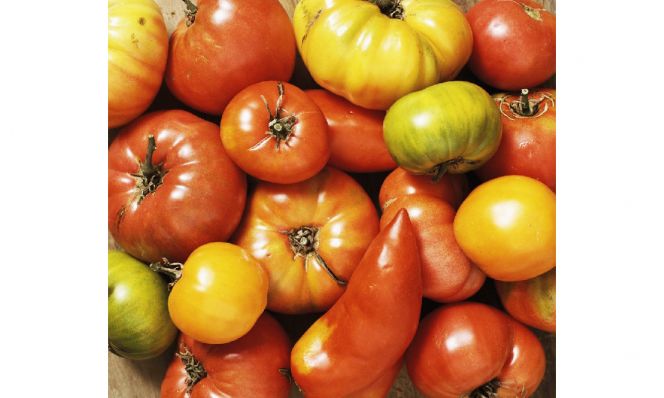 heirloom tomatoes