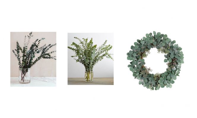 eucalyptus branches and wreath