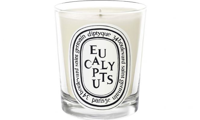 eucalyptus candle