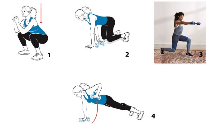 strength circuit exercises