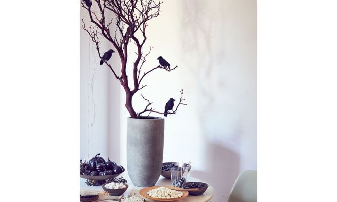 halloween party decor