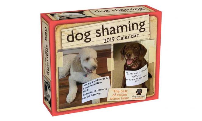 2019 Dog Shaming Calendar