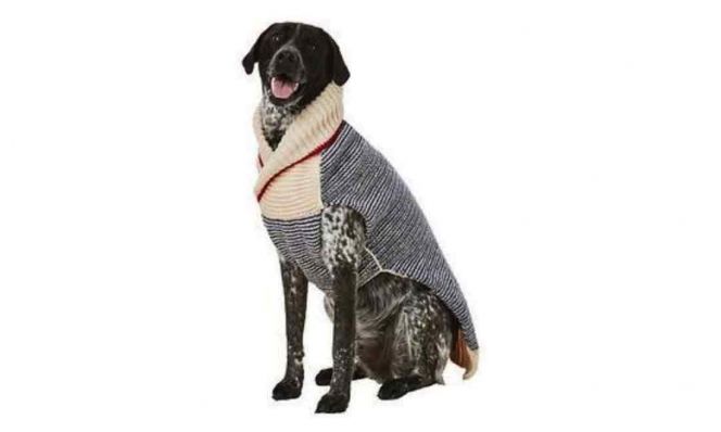 Chilly Dog Spencer Dog & Cat Sweater