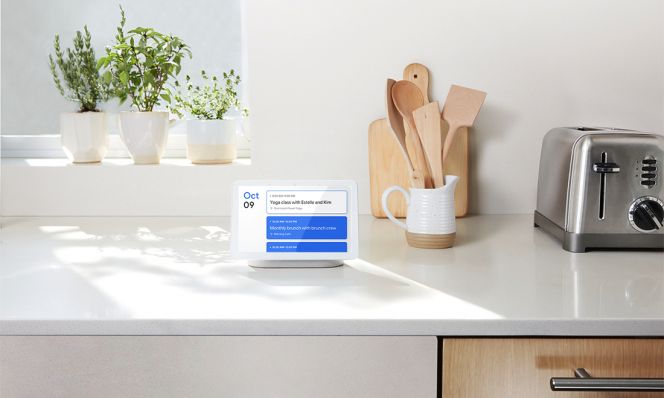 Google Assistant/Home Hub