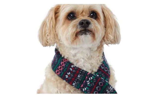 Holiday Pet Scarf