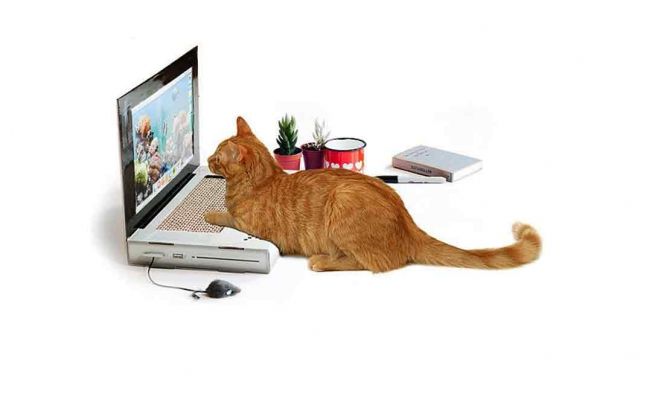 Laptop Cat Scratching Pad