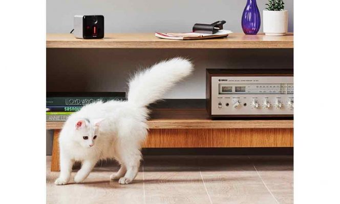 Petcube Play Camera