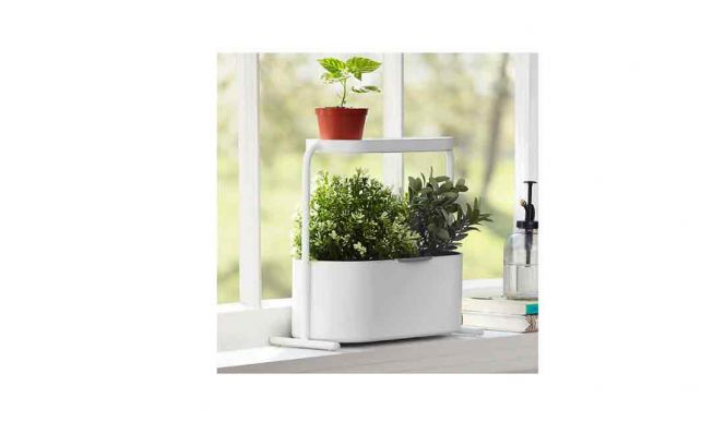 Umbra Giardino Herb Planter