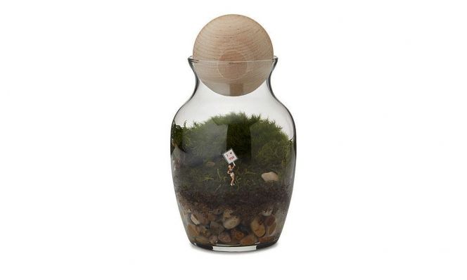 Love Grows Here Terrarium