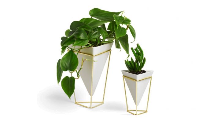 Umbra Trigg Desktop Planter Vase & Geometric Container