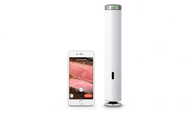 immersion circulator