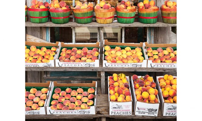 fresh peaches at farmers market