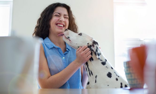 teen girl getting kisses from Dalmatian